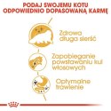 Royal Canin Persian Adult karma sucha dla kotów dorosłych rasy perskiej 2kg