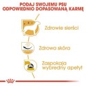 Royal Canin West Highland White Terrier Adult karma sucha dla psów dorosłych rasy west highland white terrier 1,5kg