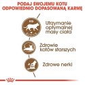 Royal Canin Ageing +12 Sterilised karma sucha dla kotów dojrzałych, sterylizowanych 400g