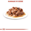 Royal Canin Digestive Care karma mokra w sosie dla kotów dorosłych, wrażliwy przewód pokarmowy saszetka 85g