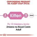 Royal Canin Kitten w sosie karma mokra dla kociąt do 12 miesiąca życia saszetka 85g