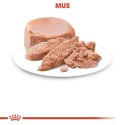 Royal Canin Mother & Babycat Mousse karma mokra - mus dla kociąt i kotek karmiących puszka 195g