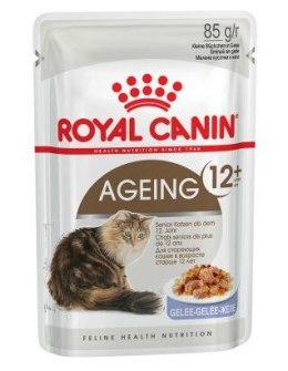 Royal Canin Ageing +12 karma mokra w galaretce dla kotów dojrzałych saszetka 85g