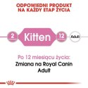 Royal Canin Kitten w galaretce karma mokra dla kociąt do 12 miesiąca życia saszetka 85g