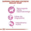 Royal Canin Kitten w galaretce karma mokra dla kociąt do 12 miesiąca życia saszetka 85g