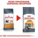 Royal Canin Hair&Skin Care karma sucha dla kotów dorosłych, lśniąca sierść i zdrowa skóra 4kg