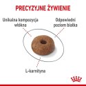 Royal Canin Light Weight Care karma sucha dla kotów dorosłych, utrzymanie prawidłowej masy ciała 3kg