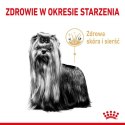 Royal Canin Yorkshire Terrier Adult 8+ karma sucha dla psów starszych rasy yorkshire terrier 3kg