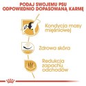 Royal Canin French Bulldog Adult karma sucha dla psów dorosłych rasy buldog francuski 3kg