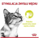 Royal Canin Sensory Smell w sosie karma mokra dla kotów dorosłych saszetka 85g