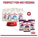 Royal Canin Sensory Smell w sosie karma mokra dla kotów dorosłych saszetka 85g