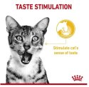 Royal Canin Sensory Taste w sosie karma mokra dla kotów dorosłych saszetka 85g