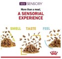 Royal Canin Sensory Taste w sosie karma mokra dla kotów dorosłych saszetka 85g