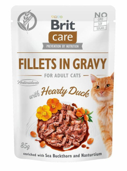 BRIT CARE HEARTY DUCK saszetka 85g