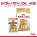 Royal Canin Pomeranian Adult karma mokra dla psów dorosłych rasy szpic miniaturowy, pasztet saszetka 85g