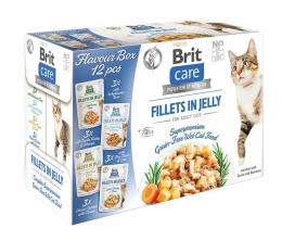 BRIT CARE FILLETS JELLY FLAVOUR BOX POUCH saszetka 85g x 12