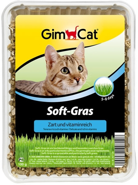 GIMPET SOFT-GRAS trawa pojemnik 100g