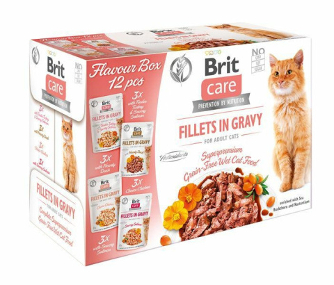 BRIT CARE FG FLAVOUR BOX POUCH 12 x 85g