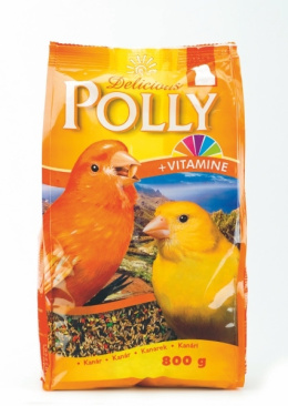 POLLY DELICIOUS KANAREK 800g