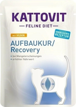 KATTOVIT RECOVERY saszetka 85g