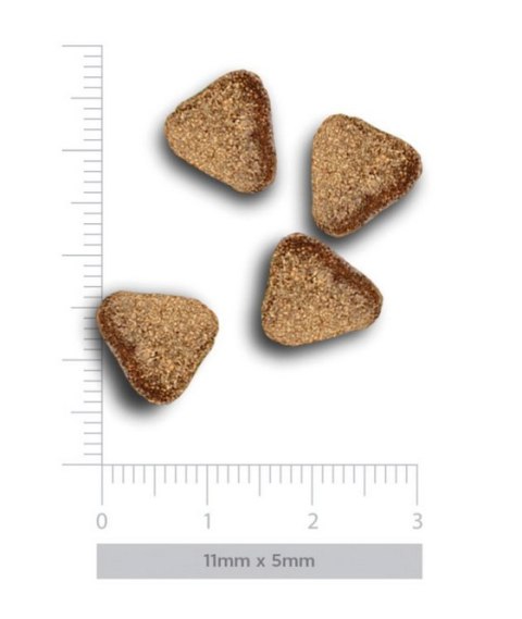 Amanova Dog Adult Mini Digestive Divine Rabbit - królik 800g