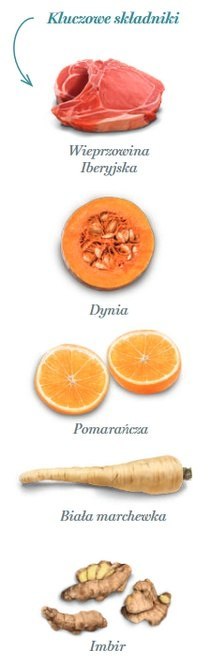 Amanova Dog Adult Mini Exigent Iberian Pork - wieprzowina 800g