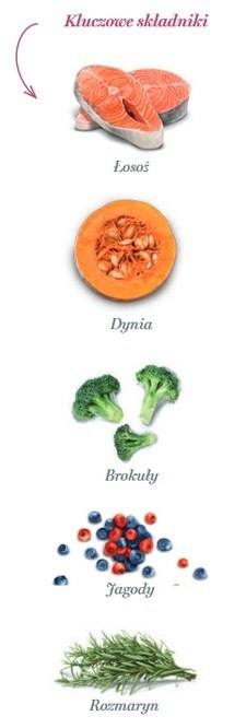 Amanova Dog Adult Mini Sensitive Salmon Deluxe - łosoś 800g