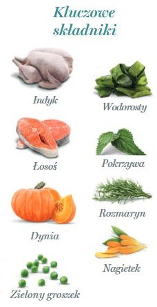 Amanova Dog Adult Tasty Salmon & Turkey - łosoś i indyk saszetka 300g [P06]