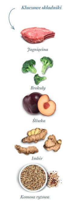 Amanova Cat Sterilised Delicious Lamb - jagnięcina 4kg